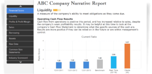 Financial Assessment Reports